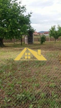 teren-intre-alba-micesti