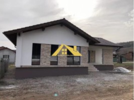 casa-individuala-pe-un-nivel-alba-micesti-1