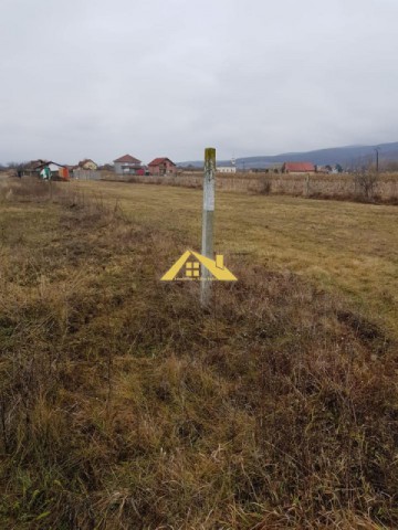 teren-in-micesti