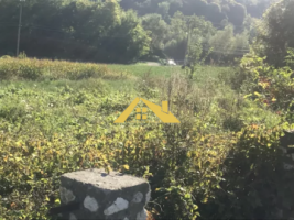teren-ampoita-alba