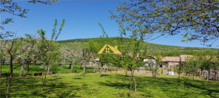casa-de-vinzare-la-cricau-sau-schimb-cu-apartament-plus-diferenta-2