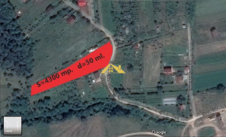 teren-intravilan-de-vanzare-alba-micesti-4300-mp-l-50-ml