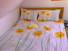 cabana-in-alba-iulia-1