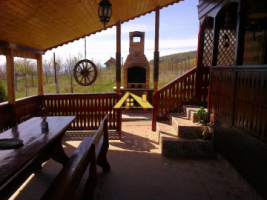 cabana-in-alba-iulia-3