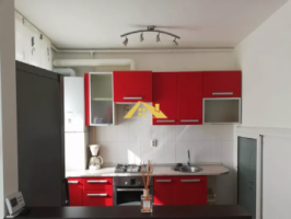 casa-de-inchiriat-ultracentral-7