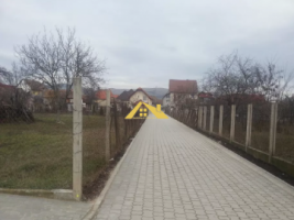 vand-teren-barabant