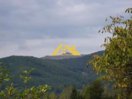 casa-si-teren-de-casa-padure-etcin-apuseni-1