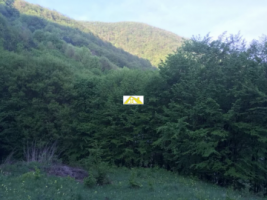 teren-de-cabana