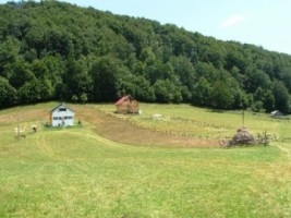 nu-mai-vinde-teren-1000-mp-intravilan-dambovicioara-ciocanu