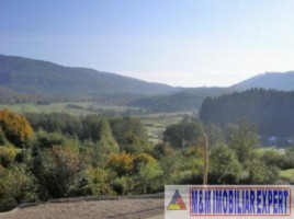 teren-5000-mp-extravilan-de-vanzare-la-munte-in-corbi-arges-ideal-pentru-activitati-agricole-sau-recreationale