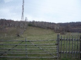 teren-5000-mp-extravilan-de-vanzare-in-leresti-arges-ideal-pentru-activitati-agricole-2