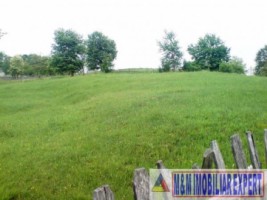 teren-2000-mp-extravilan-de-vanzare-in-albestii-de-muscel-candesti-arges-ideal-pentru-activitati-agricole-6