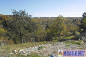 teren-5000-mp-intravilan-de-vanzare-in-albestii-de-muscel-arges-ideal-pentru-constructii-rezidentiale-1