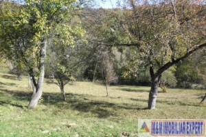 teren-5000-mp-intravilan-de-vanzare-in-albestii-de-muscel-arges-ideal-pentru-constructii-rezidentiale-4