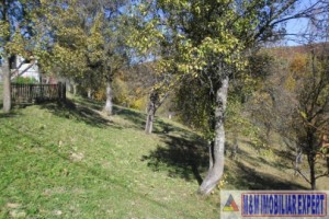 teren-5000-mp-intravilan-de-vanzare-in-albestii-de-muscel-arges-ideal-pentru-constructii-rezidentiale-6