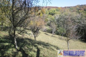 teren-5000-mp-intravilan-de-vanzare-in-albestii-de-muscel-arges-ideal-pentru-constructii-rezidentiale-7