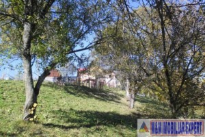 teren-5000-mp-intravilan-de-vanzare-in-albestii-de-muscel-arges-ideal-pentru-constructii-rezidentiale-11