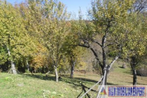 teren-5000-mp-intravilan-de-vanzare-in-albestii-de-muscel-arges-ideal-pentru-constructii-rezidentiale-12