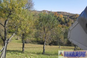 teren-5000-mp-intravilan-de-vanzare-in-albestii-de-muscel-arges-ideal-pentru-constructii-rezidentiale-14