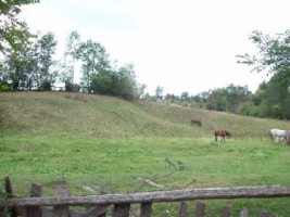 teren-2000-mp-extravilan-de-vanzare-in-albestii-de-muscel-candesti-bratisoara-arges-ideal-pentru-activitati-agricole