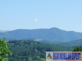 teren-2100-mp-intravilan-de-vanzare-in-albestii-de-muscel-arges-ideal-pentru-constructii-rezidentiale