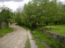 teren-1200-mp-intravilan-de-vanzare-in-albestii-de-muscel-arges-ideal-pentru-constructii-rezidentiale