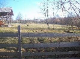 teren-3000-mp-extravilan-de-vanzare-in-albestii-de-muscel-candesti-arges-ideal-pentru-activitati-agricole-3