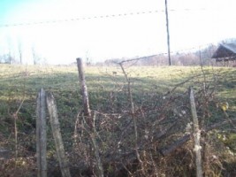 teren-3000-mp-extravilan-de-vanzare-in-albestii-de-muscel-candesti-arges-ideal-pentru-activitati-agricole-4