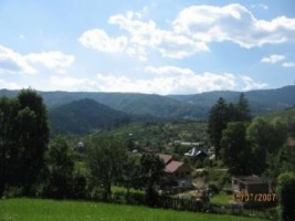 teren-intravilan-2800-mp-in-rucar-2
