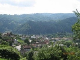 teren-intravilan-2800-mp-in-rucar-1