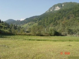 teren-intravilan-5600-mp-de-vanzare-rucar-satic-arges-ideal-pentru-constructii-rezidentiale-sau-proiecte-turistice-3