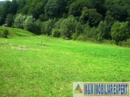 teren-intravilan-5600-mp-de-vanzare-rucar-satic-arges-ideal-pentru-constructii-rezidentiale-sau-proiecte-turistice-6