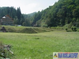 teren-intravilan-5600-mp-de-vanzare-rucar-satic-arges-ideal-pentru-constructii-rezidentiale-sau-proiecte-turistice-12