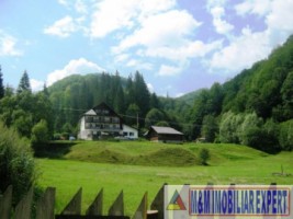 teren-intravilan-5600-mp-de-vanzare-rucar-satic-arges-ideal-pentru-constructii-rezidentiale-sau-proiecte-turistice-7