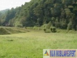 teren-intravilan-5640-mp-de-vanzare-rucar-satic-arges-ideal-pentru-constructii-turistice-sau-rezidentiale-1