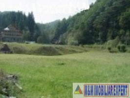 teren-intravilan-5640-mp-de-vanzare-rucar-satic-arges-ideal-pentru-constructii-turistice-sau-rezidentiale-3