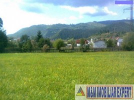 teren-intravilan-4800-mp-de-vanzare-rucar-arges-ideal-pentru-constructii-rezidentiale-sau-proiecte-turistice-2