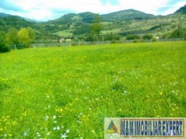 teren-intravilan-4800-mp-de-vanzare-rucar-arges-ideal-pentru-constructii-rezidentiale-sau-proiecte-turistice-4