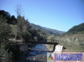 teren-intravilan-285-ha-de-vanzare-rucar-satic-arges-ideal-pentru-dezvoltari-turistice-sau-rezidentiale