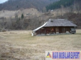 teren-intravilan-285-ha-de-vanzare-rucar-satic-arges-ideal-pentru-dezvoltari-turistice-sau-rezidentiale-1