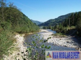 teren-intravilan-285-ha-de-vanzare-rucar-satic-arges-ideal-pentru-dezvoltari-turistice-sau-rezidentiale-3