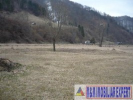 teren-intravilan-285-ha-de-vanzare-rucar-satic-arges-ideal-pentru-dezvoltari-turistice-sau-rezidentiale-4