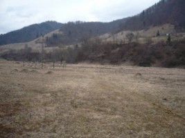 teren-intravilan-285-ha-de-vanzare-rucar-satic-arges-ideal-pentru-dezvoltari-turistice-sau-rezidentiale-6