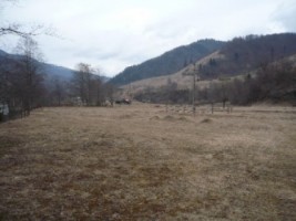 teren-intravilan-285-ha-de-vanzare-rucar-satic-arges-ideal-pentru-dezvoltari-turistice-sau-rezidentiale-7