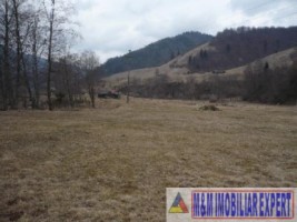 teren-intravilan-285-ha-de-vanzare-rucar-satic-arges-ideal-pentru-dezvoltari-turistice-sau-rezidentiale-8