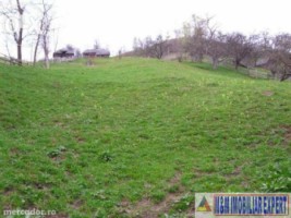 teren-intravilan-3-ha-de-vanzare-in-dambovicioara-arges-ideal-pentru-dezvoltari-turistice-si-rezidentiale