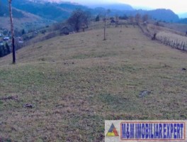 teren-intravilan-de-4800-mp-de-vanzare-in-ciocanu-dambovicioara-arges-oportunitate-pentru-constructii-rezidentiale-sau-turistice