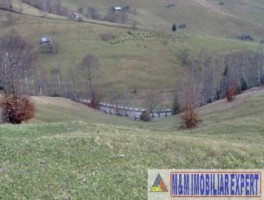 teren-intravilan-de-4800-mp-de-vanzare-in-ciocanu-dambovicioara-arges-oportunitate-pentru-constructii-rezidentiale-sau-turistice-1