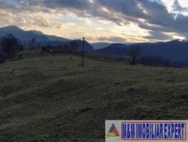 teren-intravilan-de-4800-mp-de-vanzare-in-ciocanu-dambovicioara-arges-oportunitate-pentru-constructii-rezidentiale-sau-turistice-5