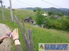 teren-intravilan-4000-mp-de-vanzare-in-dambovicioara-arges-ideal-pentru-dezvoltari-rezidentiale-sau-turistice-1